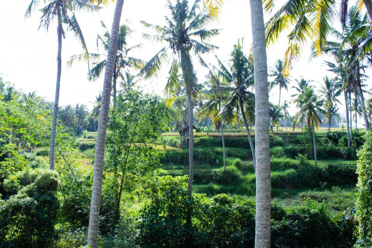 Alam Grigis Ubud Экстерьер фото
